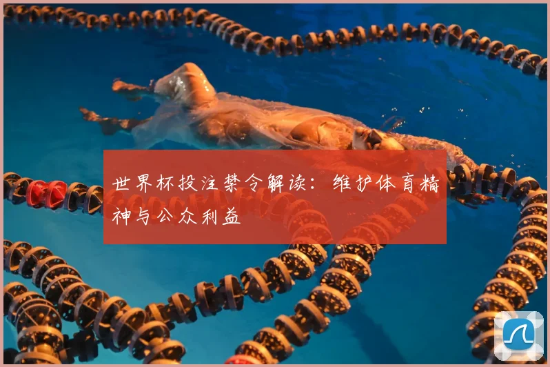 世界杯投注禁令解读：维护体育精神与公众利益