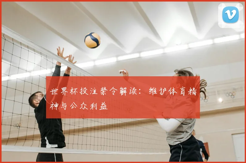 世界杯投注禁令解读：维护体育精神与公众利益