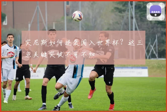 突尼斯如何逆袭闯入世界杯？这三点关键突破不可不知