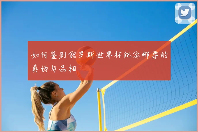 如何鉴别俄罗斯世界杯纪念邮票的真伪与品相
